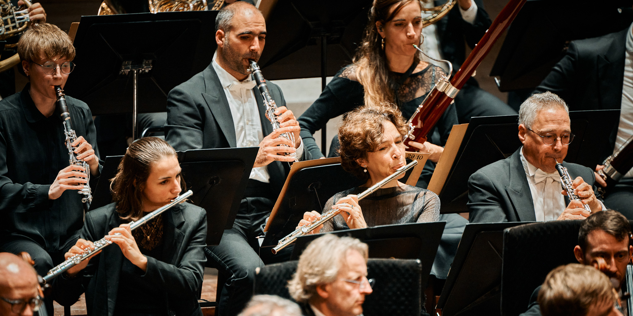 Mozart and Dvořák | Concert 26, 29 November 2026